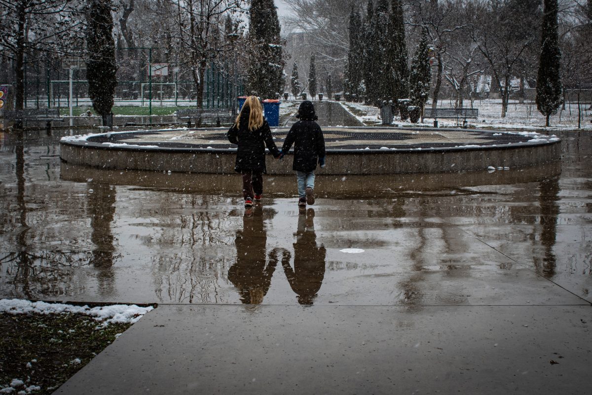 Предложение: фотограф — Рустави